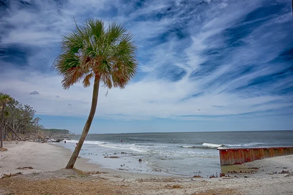 Chasse île plage scènes — Photo