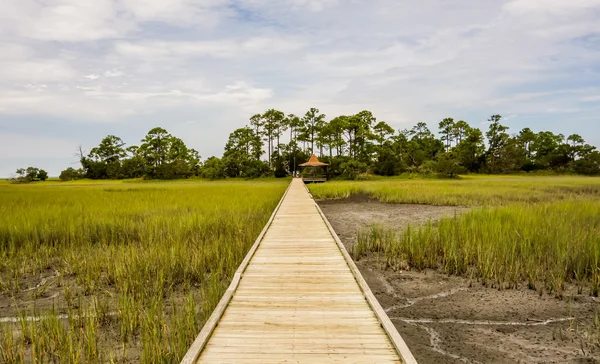 Chasse île plage scènes — Photo