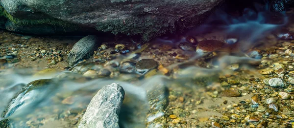 Breiter Fluss fließt durch bewaldeten Wald — Stockfoto