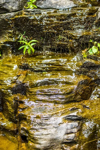 Cascadas de nuez de nogal durante el verano — Foto de Stock