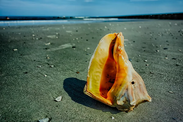 Jachtscènes eiland strand — Stockfoto