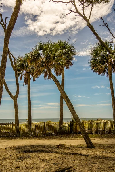 Chasse île plage scènes — Photo