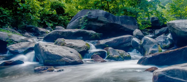 Breiter Fluss fließt durch bewaldeten Wald — Stockfoto