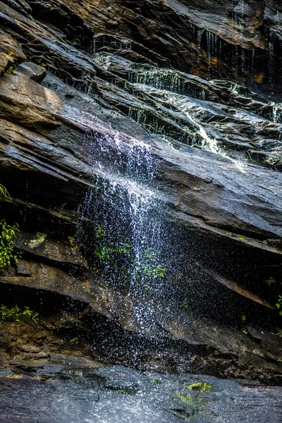 Wodospady orzech Hickory latem światło dzienne — Zdjęcie stockowe