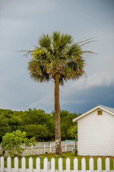 Tybee Island Light with storm approaching