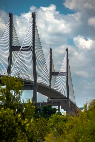 Talmadge Memorial Bridge v savannah Gruzie — Stock fotografie