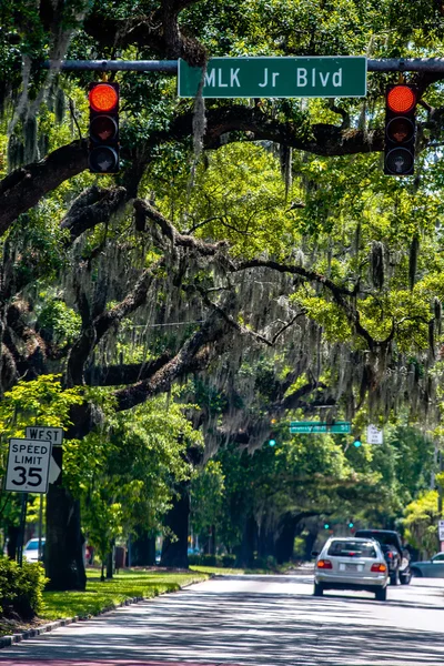 Savannah Georgia calles bordeadas de robles —  Fotos de Stock