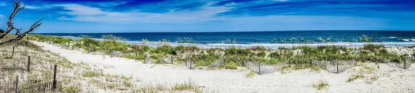 Naturszenen rund um die Jagdinsel South Carolina — Stockfoto