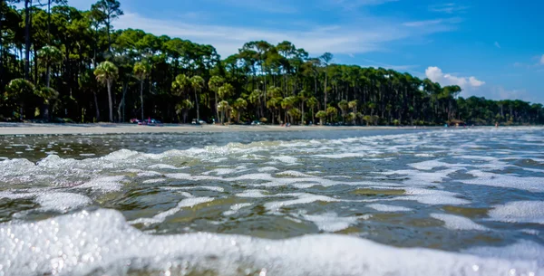 Escenas de la naturaleza alrededor de isla de caza sur carolina — Foto de Stock