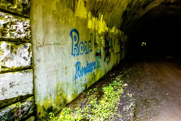 Túnel a la carretera a ninguna parte en el sendero de la orilla del lago cerca del lago fonta — Foto de Stock