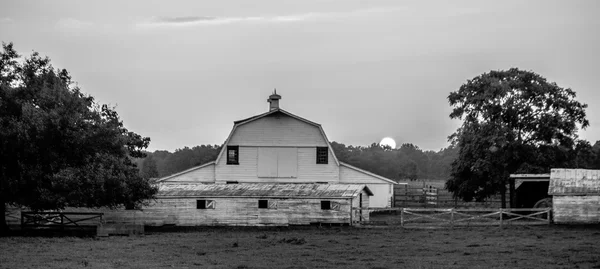 York south carolina wit roze stad — Stockfoto