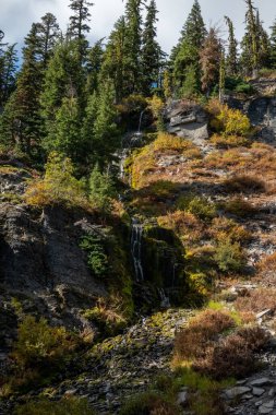 Krater Gölü çevresindeki doğa görüntüleri Oregon Gölü