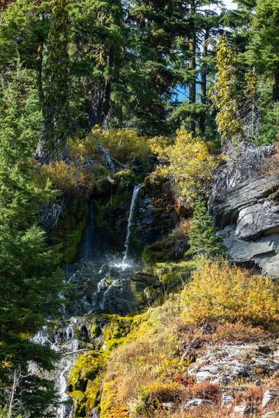 Krater Gölü çevresindeki doğa görüntüleri Oregon Gölü