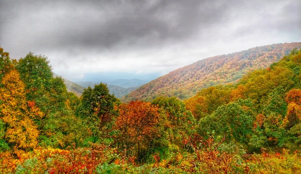 Höstens enhet på blue ridge parkway — Stockfoto