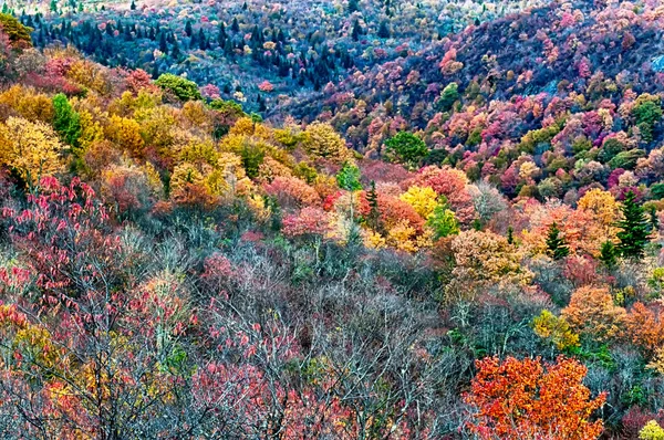 Herbstfahrt auf blauem Grat — Stockfoto