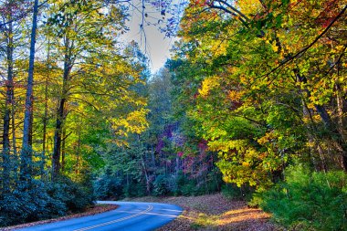 stone mountain north carolina scenery during autumn season clipart
