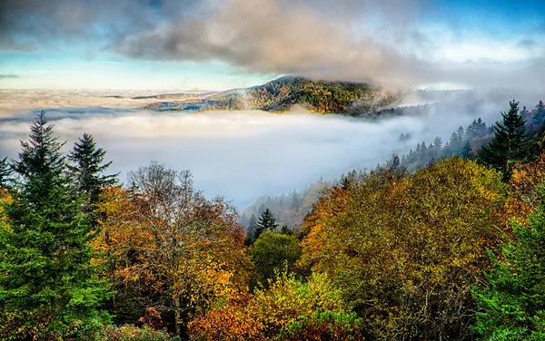 Autumng 赛季在烟雾弥漫的山脉 — 图库照片