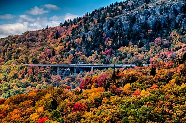 Höstens enhet på blue ridge parkway — Stockfoto