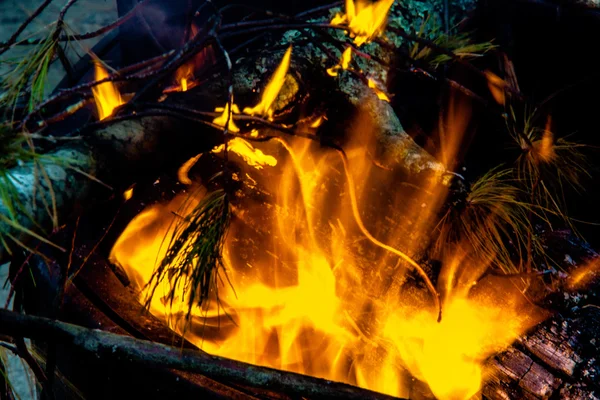 Flammes de feu de camp brûlant la nuit après la randonnée — Photo