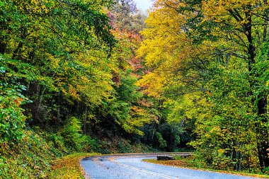 autumng sezon Dumanlı dağlar