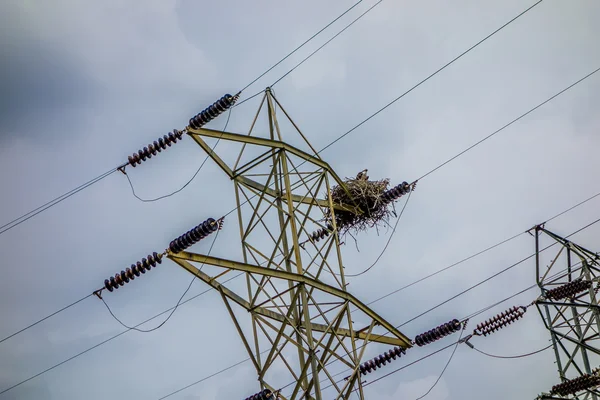 Ninho osprey em linhas de energia — Fotografia de Stock