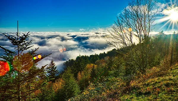 Autumng sezon Dumanlı dağlar — Stok fotoğraf