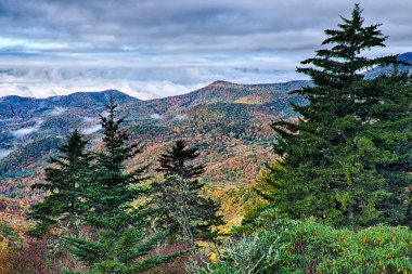 maggie valley Kuzey ca yakınındaki blue ridge parkway üzerinde sonbahar yaprakları