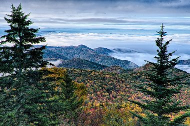 maggie valley Kuzey ca yakınındaki blue ridge parkway üzerinde sonbahar yaprakları