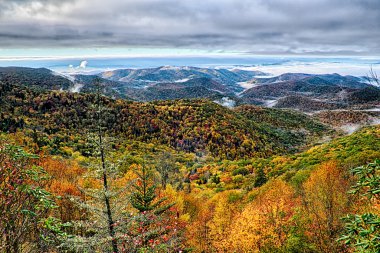 maggie valley Kuzey ca yakınındaki blue ridge parkway üzerinde sonbahar yaprakları