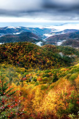 maggie valley Kuzey ca yakınındaki blue ridge parkway üzerinde sonbahar yaprakları