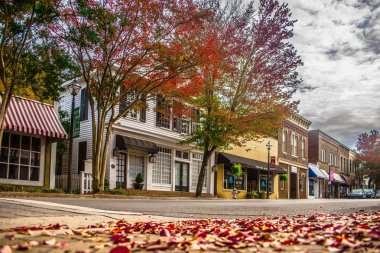 Sonbahar sezonu beyaz gül şehir şehir york suth carolina