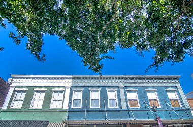 york city Güney carolina tarihi beyaz gül