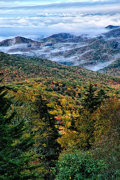 Liście jesienią na blue ridge parkway w pobliżu maggie valley północy ca — Zdjęcie stockowe