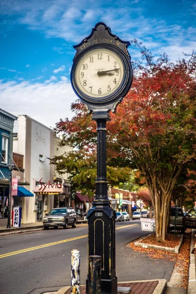 Stagione autunnale nel centro di rosa bianca città york suth carolina — Foto Stock