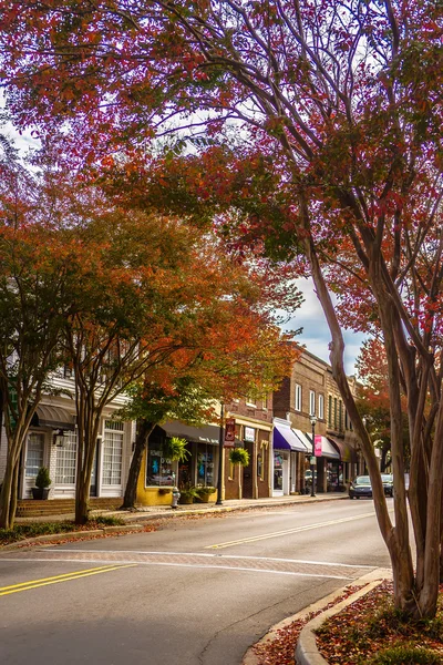 Sonbahar sezonu beyaz gül şehir şehir york suth carolina — Stok fotoğraf