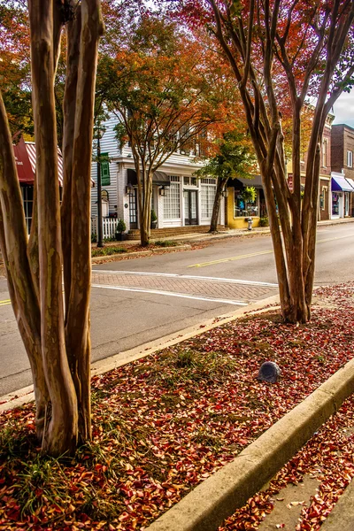 Saison d'automne dans le centre de la ville de rose blanche york suth carolina — Photo