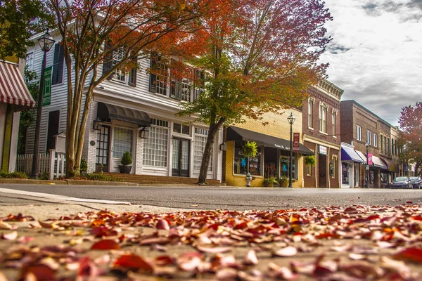 秋の季節に白いバラ都市のダウンタウンにニューヨークまた, ノースカロライナ州 — ストック写真
