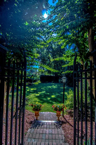 Classical design black wrought iron gate in a beautiful green ga — Stock Photo, Image