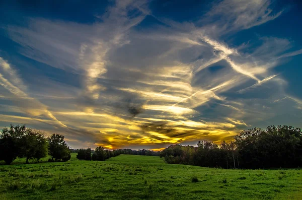 Sunset over green field farm land — Stock Photo, Image