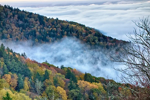 Scenic Blue Ridge Parkway Appalachians Smoky Mountains hösten La — Stockfoto