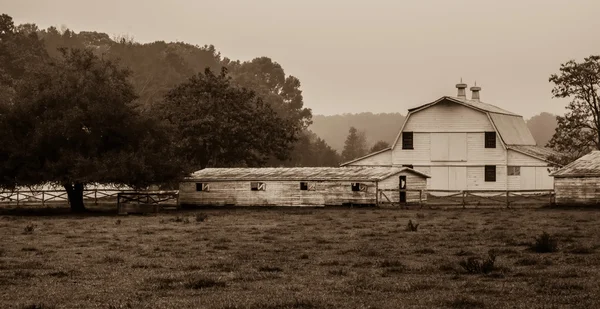 Landschapsmening van een koe boerderij ranch in mist — Stockfoto