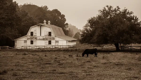 Landschaft Blick auf eine Kuhfarm Ranch im Nebel — Stockfoto