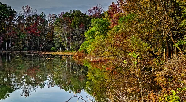 Doğa manzara çevresinde göl wylie Güney carolina — Stok fotoğraf