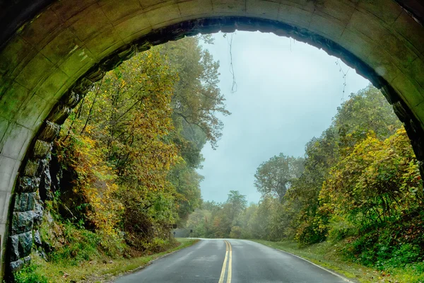 Tunnel on the Blue Ridge Parkway in North Carolina Royalty Free Stock Images