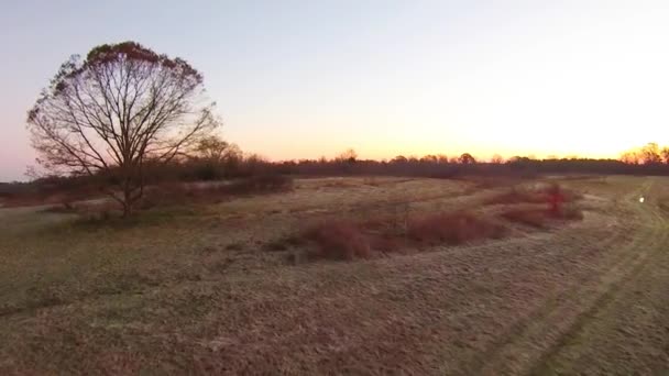 Am frühen Morgen frostige Farmlandschaft — Stockvideo