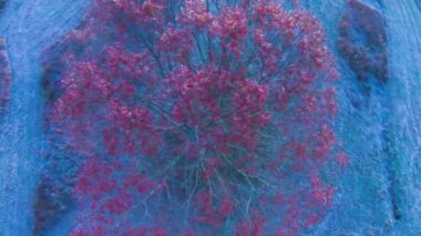 sabah erken ayaz çiftlik manzara