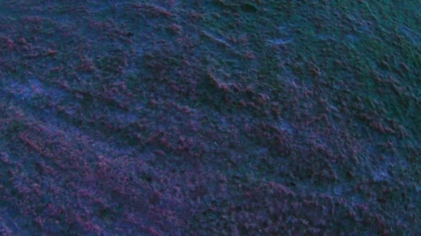 tôt le matin paysage agricole givré 