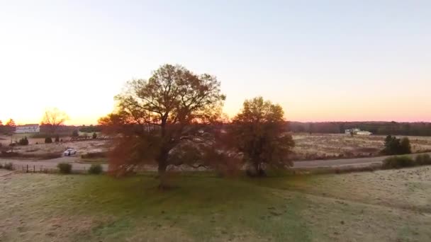 tôt le matin paysage agricole givré 