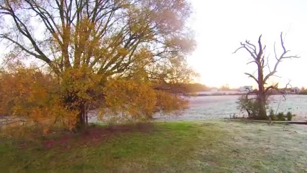 campagne ferme vue aérienne paysage 