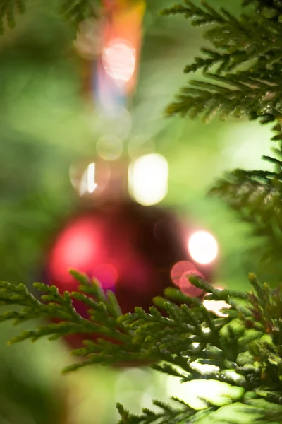 Decoraciones de Navidad en el abeto ramas — Foto de Stock